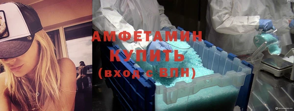 прущие грибы Магас