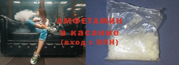 прущие грибы Магас