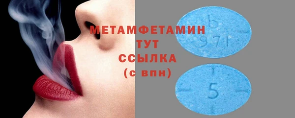прущие грибы Магас