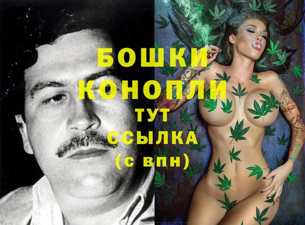 прущие грибы Магас