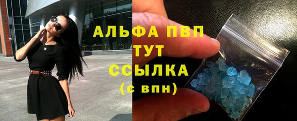 прущие грибы Магас