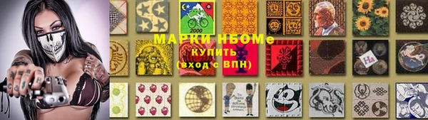 прущие грибы Магас