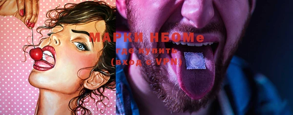прущие грибы Магас