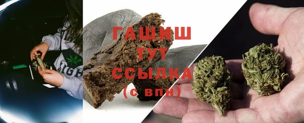 прущие грибы Магас