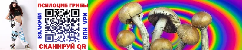 Псилоцибиновые грибы GOLDEN TEACHER Новокубанск