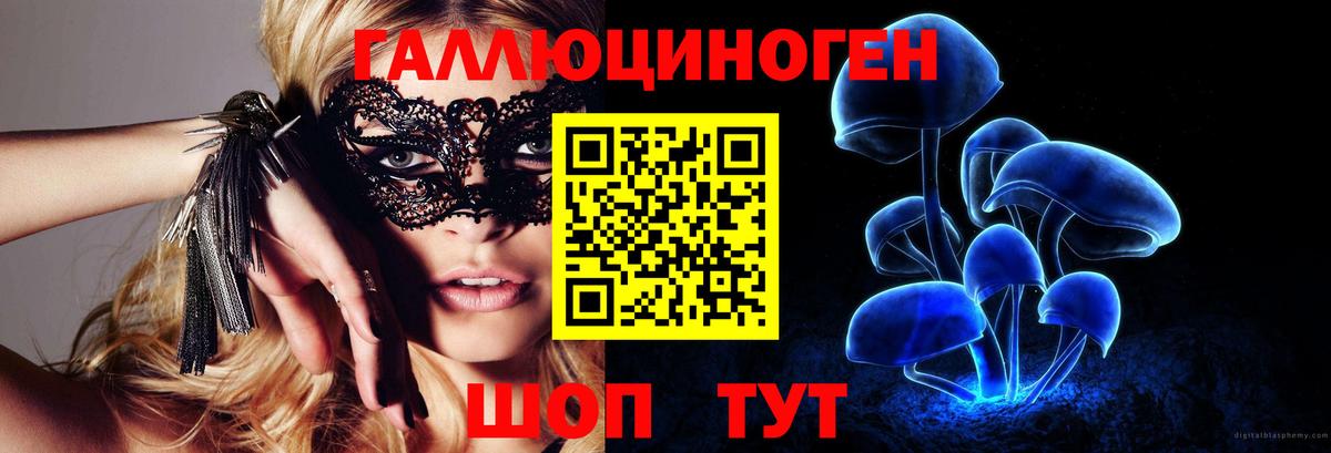 Псилоцибиновые грибы прущие грибы  Вход с VPN  Новокубанск  Псилоцибиновые грибы Psilocybe 